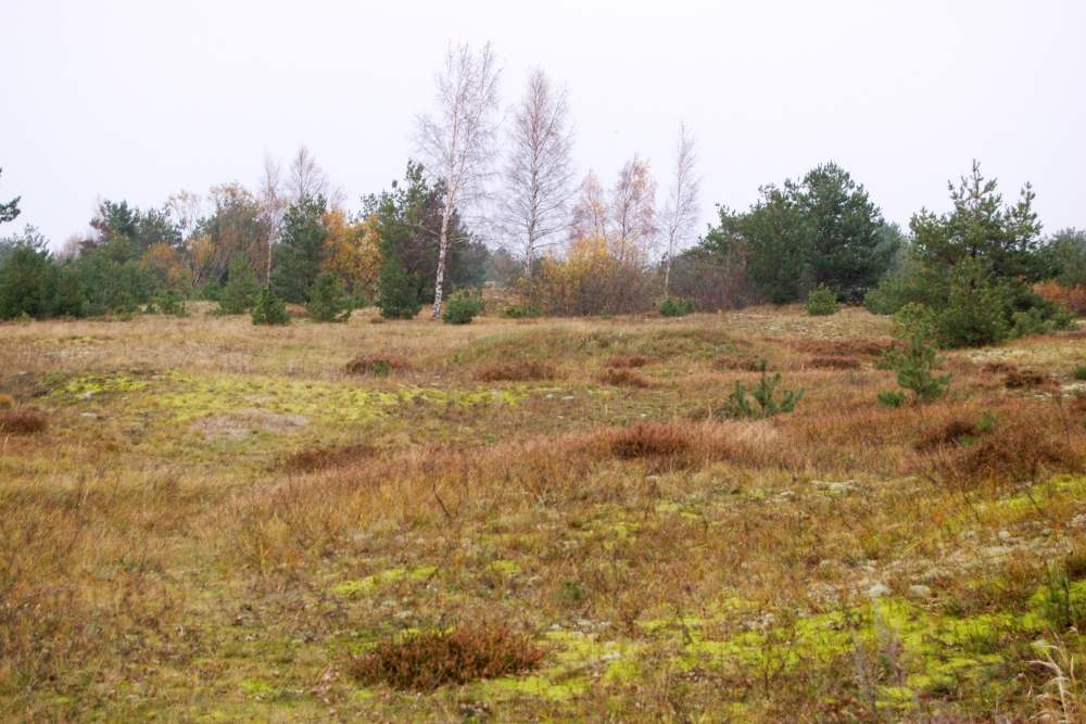 Kas jāņem vērā, iegādājoties zemi mājas būvniecībai, – aizsargjoslas, piesārņojums un piekļuve (II)